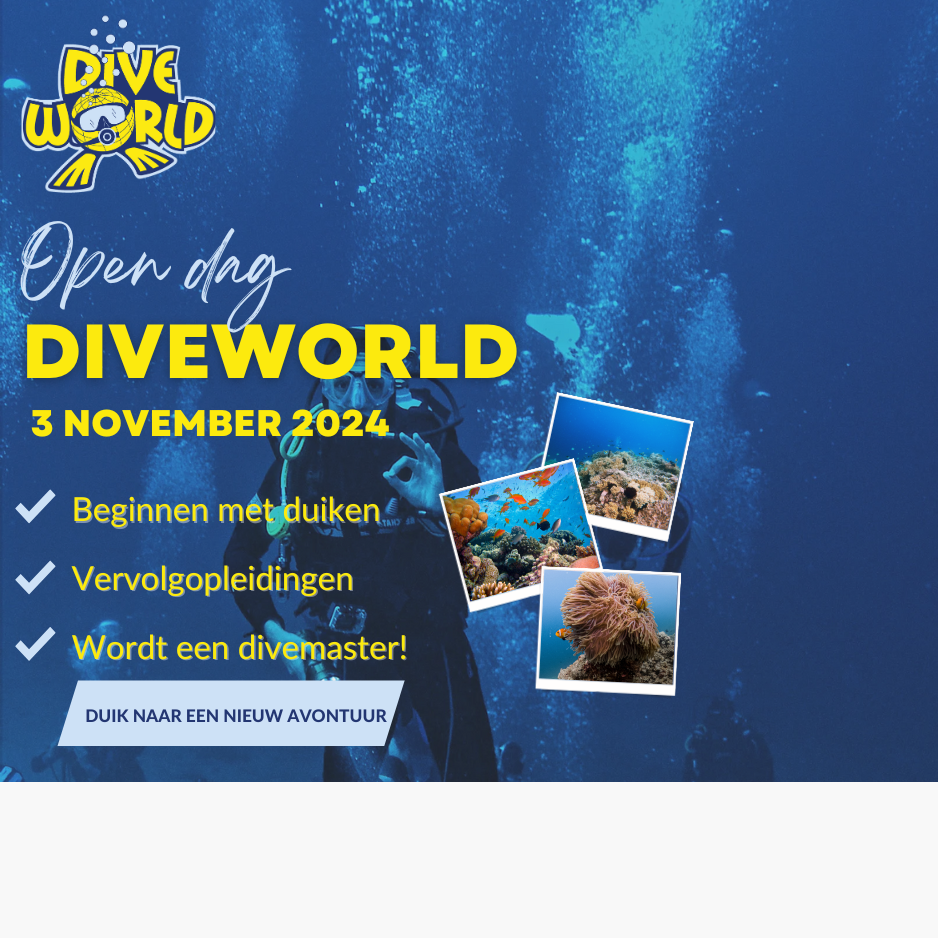 Open dag DiveWorld